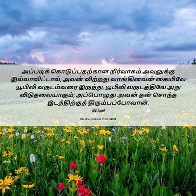 Picture 06 - லேவியராகமம் 25:28 TAMIRV - அப்படிக் - Bible Verse Picture