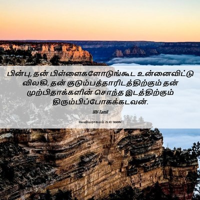 Picture 06 - லேவியராகமம் 25:41 TAMIRV - பின்பு, தன் - Bible Verse Picture