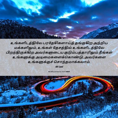 Picture 06 - லேவியராகமம் 25:45 TAMIRV - உங்களிடத்திலே - Bible Verse Picture