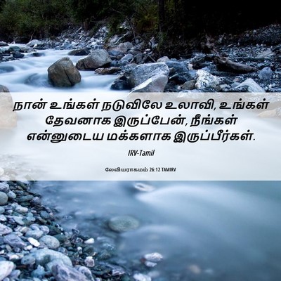 Picture 06 - லேவியராகமம் 26:12 TAMIRV - நான் உங்கள் - Bible Verse Picture