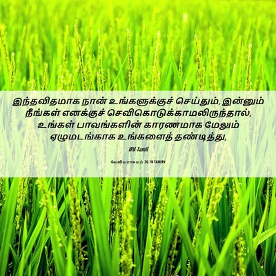 Picture 06 - லேவியராகமம் 26:18 TAMIRV - இந்தவிதமாக நான் - Bible Verse Picture