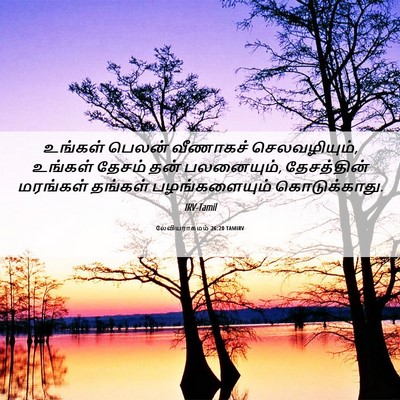 Picture 06 - லேவியராகமம் 26:20 TAMIRV - உங்கள் பெலன் - Bible Verse Picture