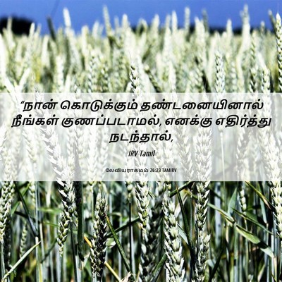 Picture 06 - லேவியராகமம் 26:23 TAMIRV - “நான் கொடுக்கும் - Bible Verse Picture