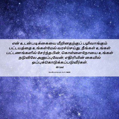 Picture 06 - லேவியராகமம் 26:25 TAMIRV - என் உடன்படிக்கையை - Bible Verse Picture