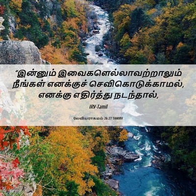 Picture 06 - லேவியராகமம் 26:27 TAMIRV - “இன்னும் - Bible Verse Picture