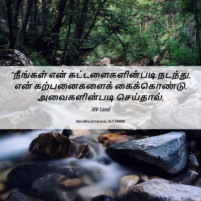 Picture 06 - லேவியராகமம் 26:3 TAMIRV - “நீங்கள் என் - Bible Verse Picture