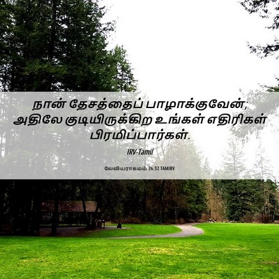 Picture 06 - லேவியராகமம் 26:32 TAMIRV - நான் தேசத்தைப் - Bible Verse Picture