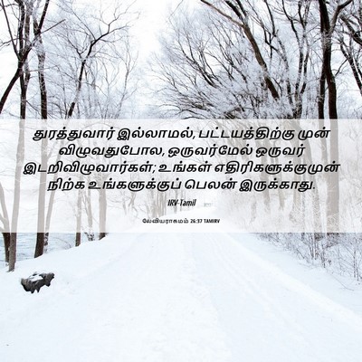 Picture 06 - லேவியராகமம் 26:37 TAMIRV - துரத்துவார் - Bible Verse Picture