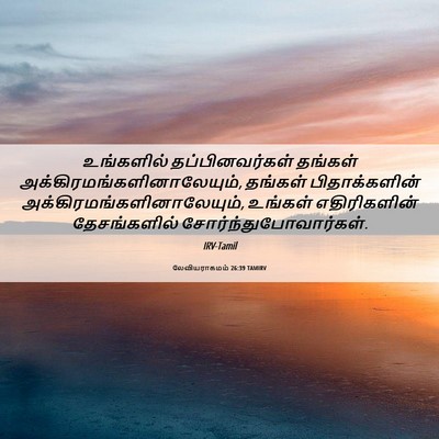 Picture 06 - லேவியராகமம் 26:39 TAMIRV - உங்களில் - Bible Verse Picture