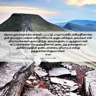 Picture 06 - லேவியராகமம் 26:43 TAMIRV - தேசம் அவர்களாலே - Bible Verse Picture