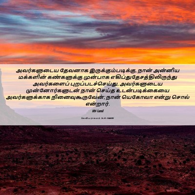 Picture 06 - லேவியராகமம் 26:45 TAMIRV - அவர்களுடைய தேவனாக - Bible Verse Picture