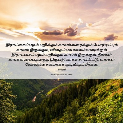 Picture 06 - லேவியராகமம் 26:5 TAMIRV - திராட்சைப்பழம் - Bible Verse Picture