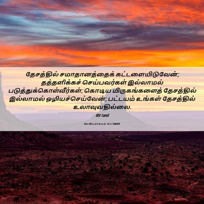 Picture 06 - லேவியராகமம் 26:6 TAMIRV - தேசத்தில் - Bible Verse Picture