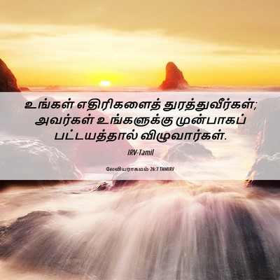 Picture 06 - லேவியராகமம் 26:7 TAMIRV - உங்கள் எதிரிகளைத் - Bible Verse Picture