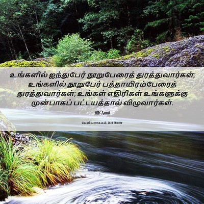 Picture 06 - லேவியராகமம் 26:8 TAMIRV - உங்களில் - Bible Verse Picture