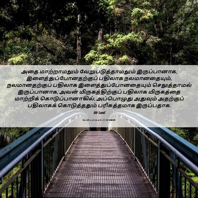 Picture 06 - லேவியராகமம் 27:10 TAMIRV - அதை மாற்றாமலும் - Bible Verse Picture