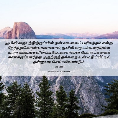 Picture 06 - லேவியராகமம் 27:18 TAMIRV - யூபிலி - Bible Verse Picture