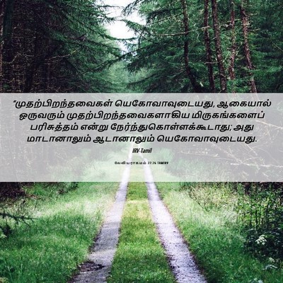 Picture 06 - லேவியராகமம் 27:26 TAMIRV -  - Bible Verse Picture
