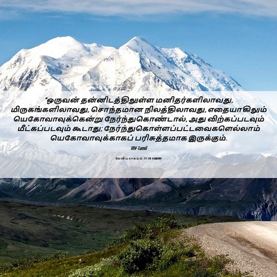Picture 06 - லேவியராகமம் 27:28 TAMIRV - “ஒருவன் - Bible Verse Picture