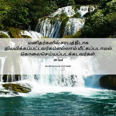 Picture 06 - லேவியராகமம் 27:29 TAMIRV - மனிதர்களில் - Bible Verse Picture