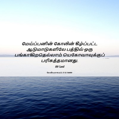 Picture 06 - லேவியராகமம் 27:32 TAMIRV - மேய்ப்பனின் - Bible Verse Picture