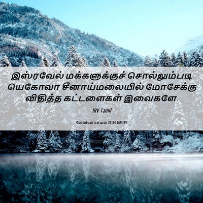 Picture 06 - லேவியராகமம் 27:34 TAMIRV - இஸ்ரவேல் - Bible Verse Picture