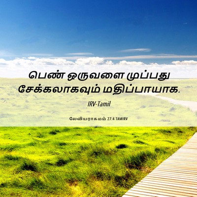 Picture 06 - லேவியராகமம் 27:4 TAMIRV - பெண் ஒருவளை - Bible Verse Picture