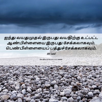 Picture 06 - லேவியராகமம் 27:5 TAMIRV - ஐந்து வயதுமுதல் - Bible Verse Picture