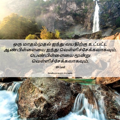 Picture 06 - லேவியராகமம் 27:6 TAMIRV - ஒரு மாதம்முதல் - Bible Verse Picture