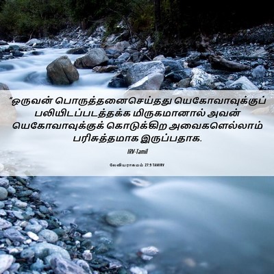 Picture 06 - லேவியராகமம் 27:9 TAMIRV - “ஒருவன் - Bible Verse Picture