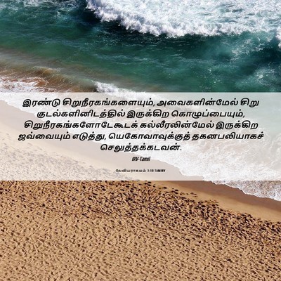 Picture 06 - லேவியராகமம் 3:10 TAMIRV - இரண்டு - Bible Verse Picture