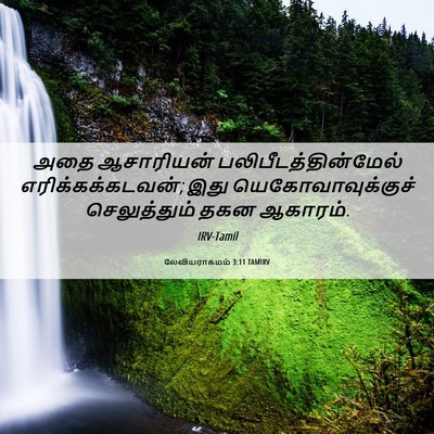 Picture 06 - லேவியராகமம் 3:11 TAMIRV - அதை ஆசாரியன் - Bible Verse Picture