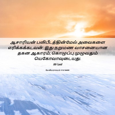 Picture 06 - லேவியராகமம் 3:16 TAMIRV - ஆசாரியன் - Bible Verse Picture
