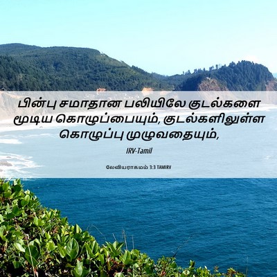 Picture 06 - லேவியராகமம் 3:3 TAMIRV - பின்பு சமாதான - Bible Verse Picture