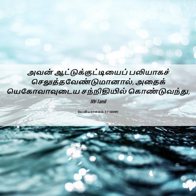 Picture 06 - லேவியராகமம் 3:7 TAMIRV - அவன் - Bible Verse Picture