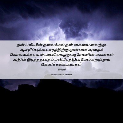 Picture 06 - லேவியராகமம் 3:8 TAMIRV - தன் பலியின் - Bible Verse Picture