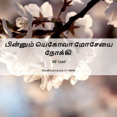Picture 06 - லேவியராகமம் 4:1 TAMIRV - பின்னும் யெகோவா - Bible Verse Picture