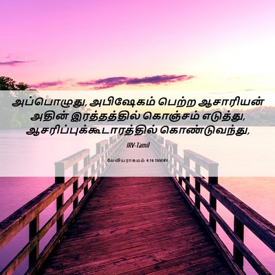 Picture 06 - லேவியராகமம் 4:16 TAMIRV - அப்பொழுது, - Bible Verse Picture