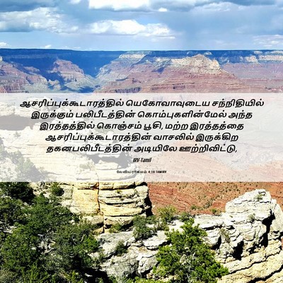 Picture 06 - லேவியராகமம் 4:18 TAMIRV -  - Bible Verse Picture