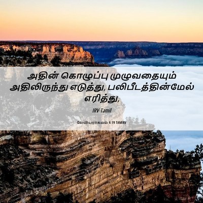 Picture 06 - லேவியராகமம் 4:19 TAMIRV - அதின் கொழுப்பு - Bible Verse Picture
