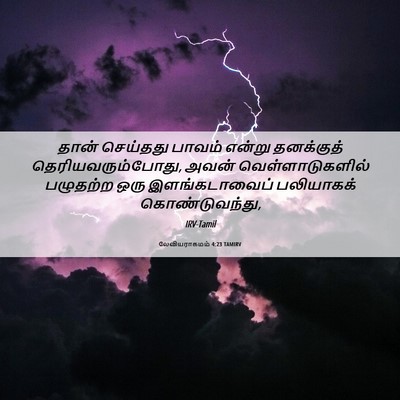Picture 06 - லேவியராகமம் 4:23 TAMIRV - தான் செய்தது - Bible Verse Picture