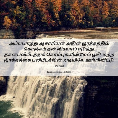 Picture 06 - லேவியராகமம் 4:30 TAMIRV - அப்பொழுது - Bible Verse Picture