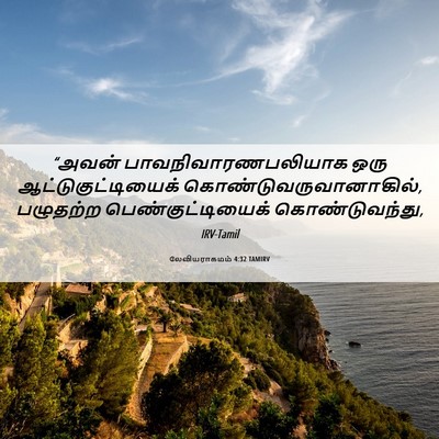 Picture 06 - லேவியராகமம் 4:32 TAMIRV - “அவன் - Bible Verse Picture