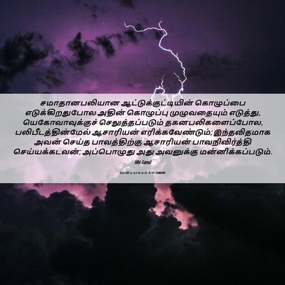 Picture 06 - லேவியராகமம் 4:35 TAMIRV - சமாதானபலியான - Bible Verse Picture