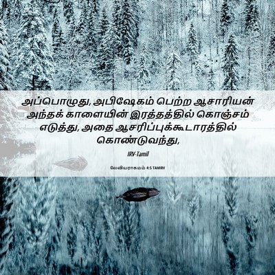 Picture 06 - லேவியராகமம் 4:5 TAMIRV - அப்பொழுது, - Bible Verse Picture