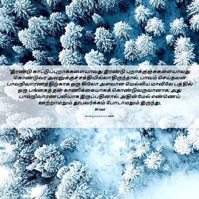 Picture 06 - லேவியராகமம் 5:11 TAMIRV - “இரண்டு - Bible Verse Picture