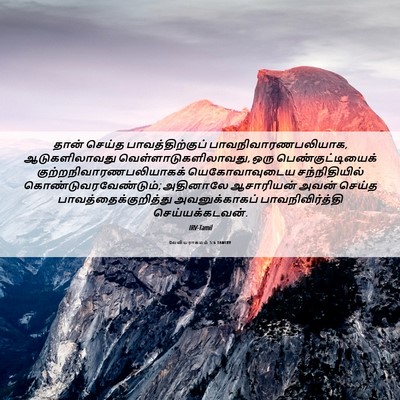 Picture 06 - லேவியராகமம் 5:6 TAMIRV - தான் செய்த - Bible Verse Picture