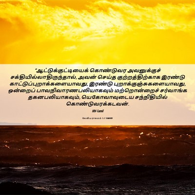 Picture 06 - லேவியராகமம் 5:7 TAMIRV -  - Bible Verse Picture