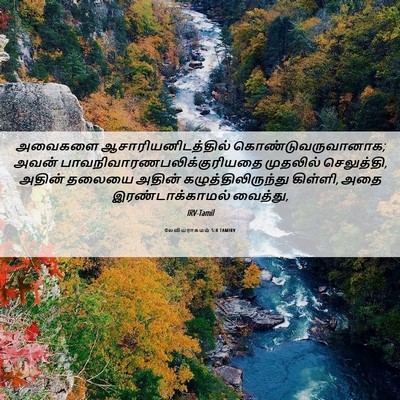 Picture 06 - லேவியராகமம் 5:8 TAMIRV - அவைகளை - Bible Verse Picture