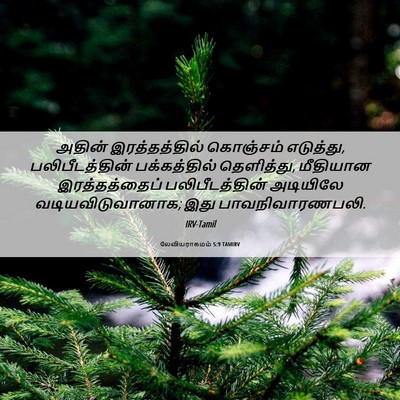Picture 06 - லேவியராகமம் 5:9 TAMIRV - அதின் இரத்தத்தில் - Bible Verse Picture